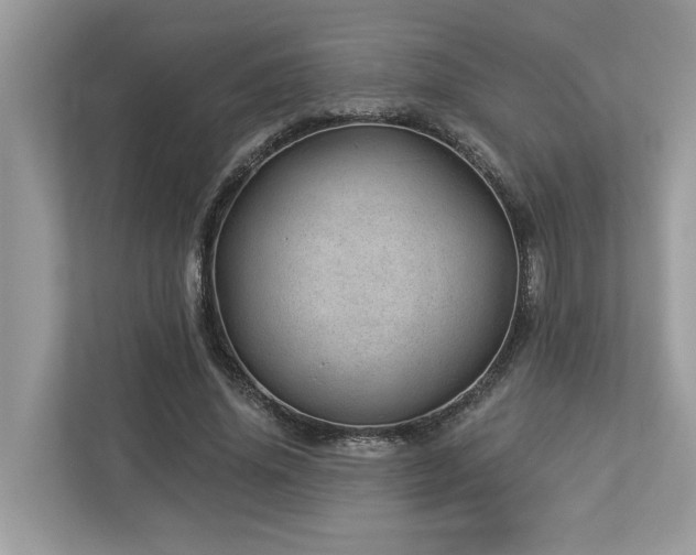 X0000112980636200908271144
