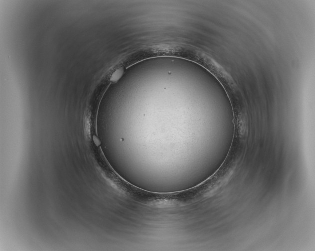 X0000112980637200908271144