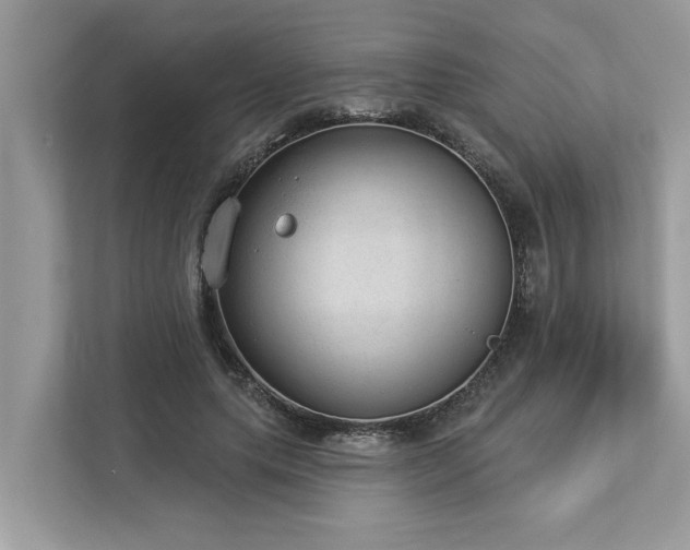 X0000112980639200908271144