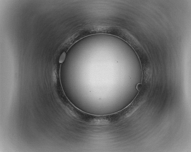 X0000112980644200908271144