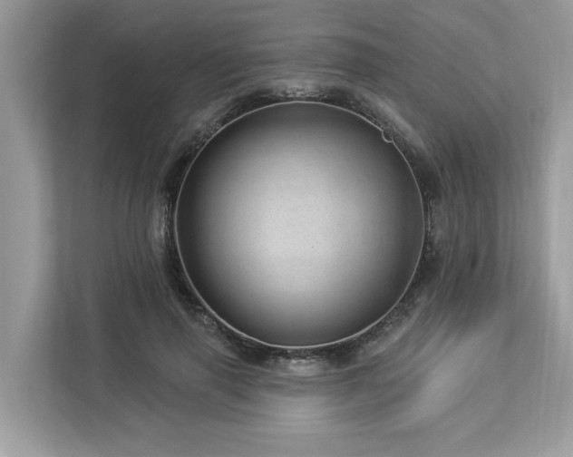 X0000112980645200908271144