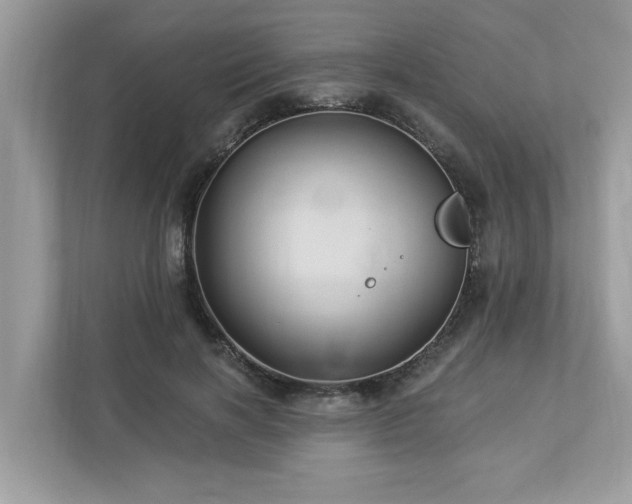 X0000112980646200908271144
