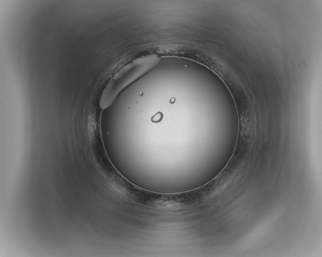 X0000112980648200908271144