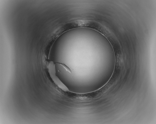 X0000112980650200908271144