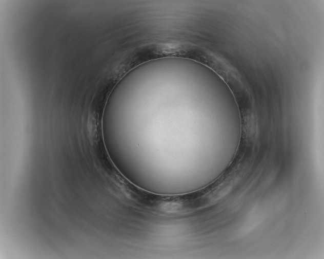 X0000112980653200908271144