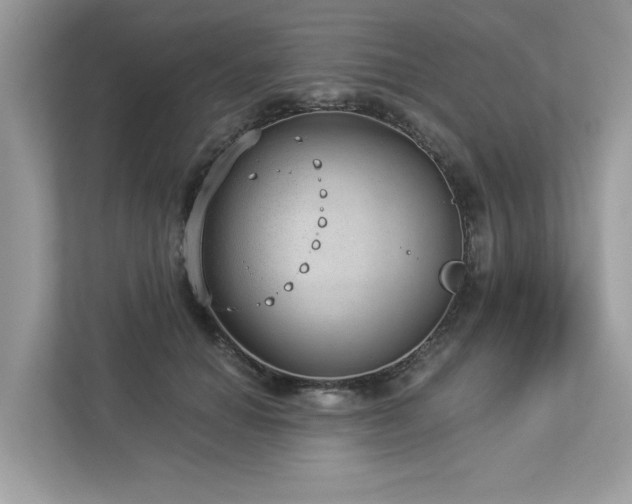 X0000112980654200908271144