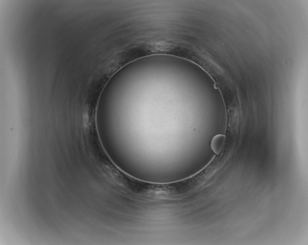 X0000112980655200908271144