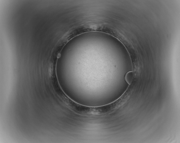 X0000112980656200908271144