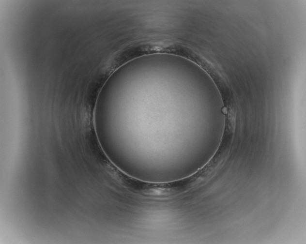 X0000112980657200908271144