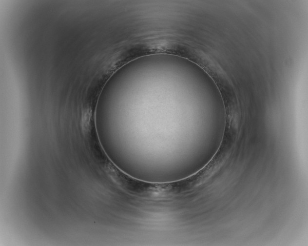 X0000112980660200908271144