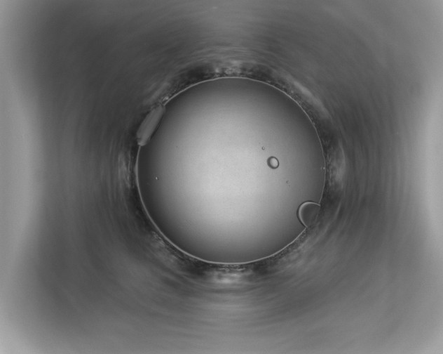 X0000112980661200908271144