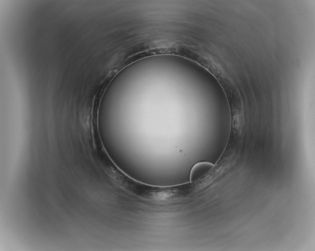 X0000112980662200908271144
