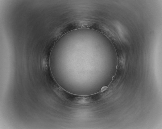 X0000112980663200908271144
