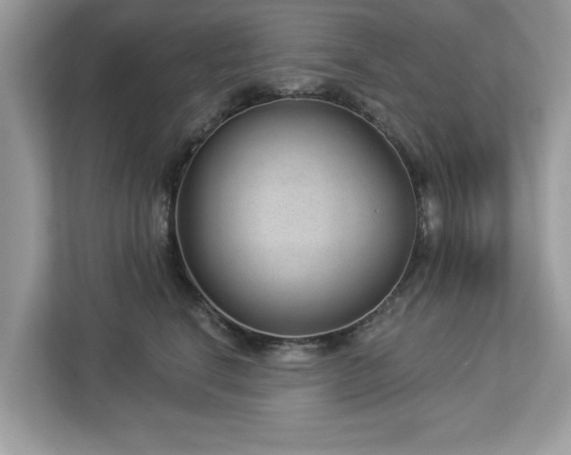 X0000112980664200908271144