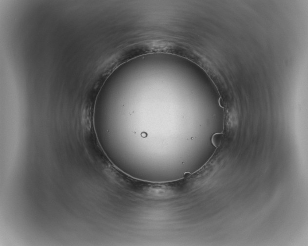 X0000112980666200908271144