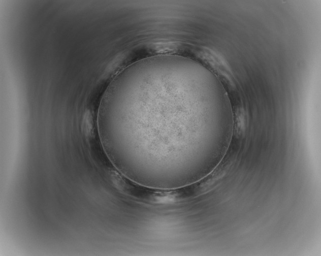 X0000112980667200908271144