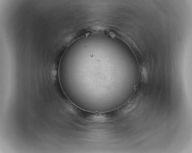 X0000112980668200908271144