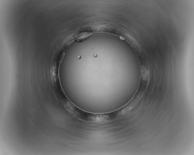 X0000112980670200908271144