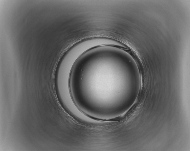 X0000112980673200908271144