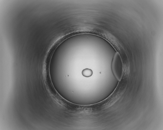 X0000112980676200908271144