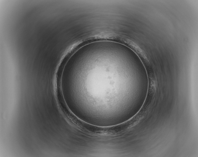 X0000112980678200908271144
