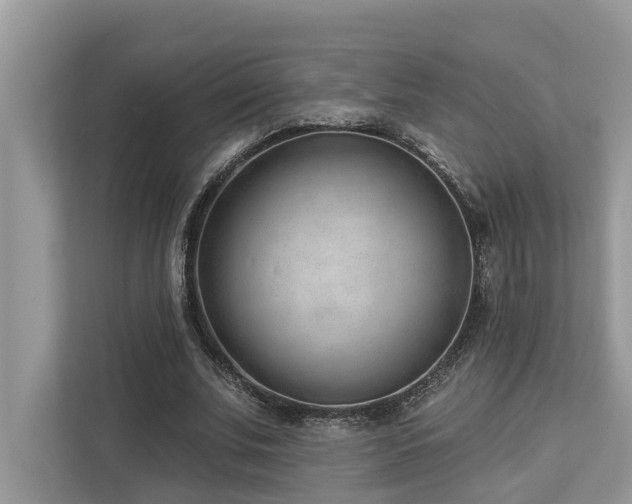 X0000112980679200908271143