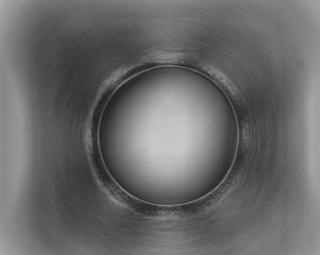 X0000112980682200908271143