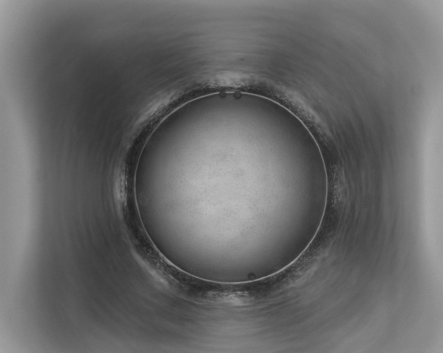 X0000112980683200908271143