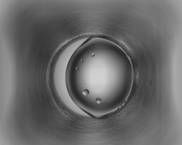 X0000112980684200908271143