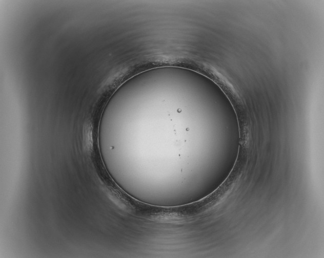 X0000112980685200908271143