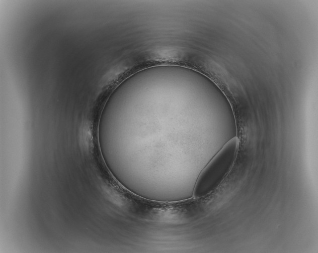 X0000112980688200908271143