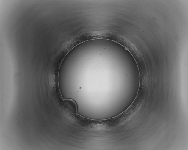 X0000112980689200908271143