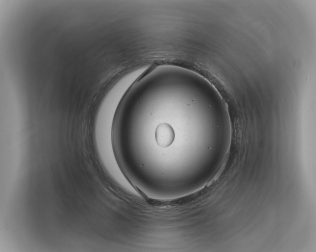 X0000112980692200908271143