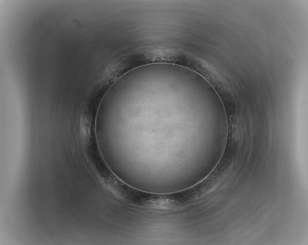X0000112980695200908271143