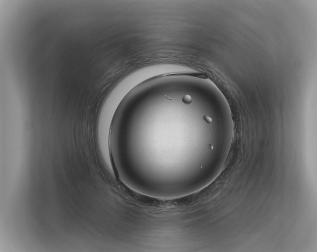 X0000112980696200908271143
