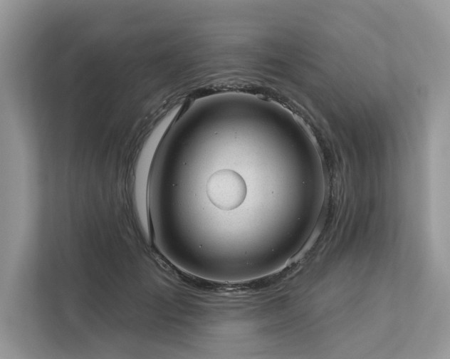 X0000112980701200908271143
