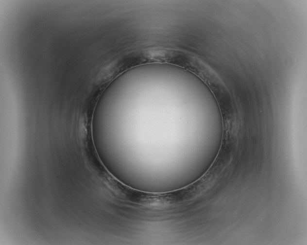 X0000112980702200908271143