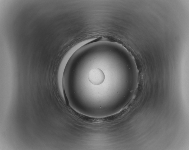 X0000112980705200908271143