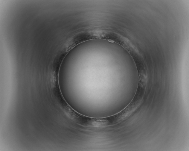 X0000112980707200908271143