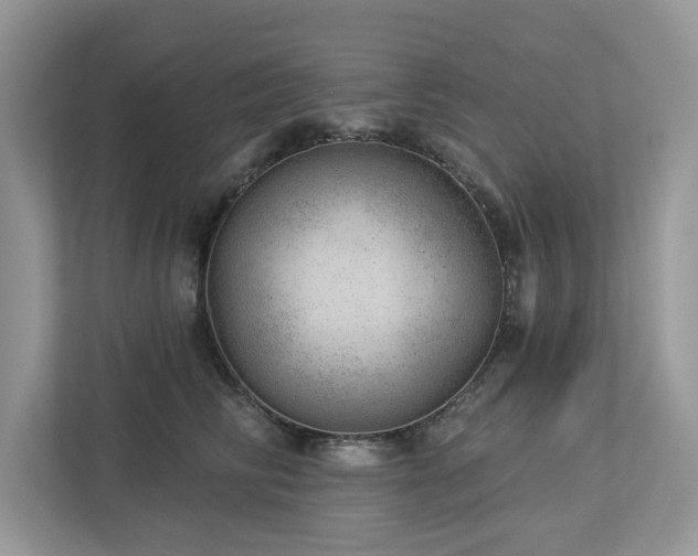 X0000112980710200908271143