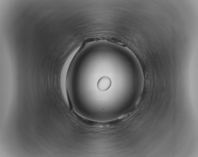 X0000112980712200908271143