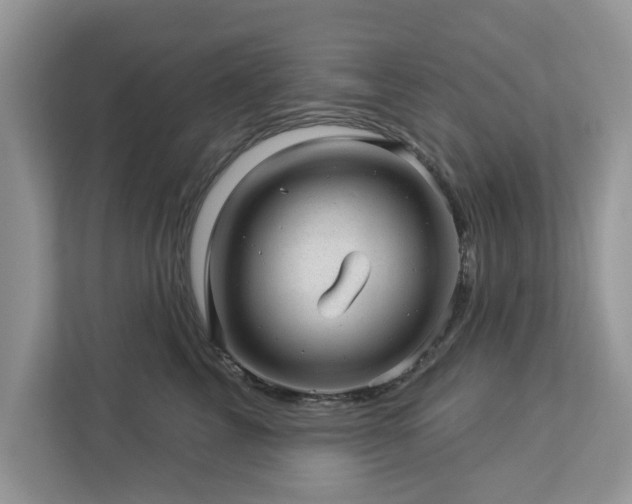 X0000112980713200908271143