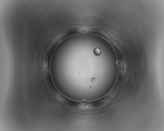 X0000112980714200908271143