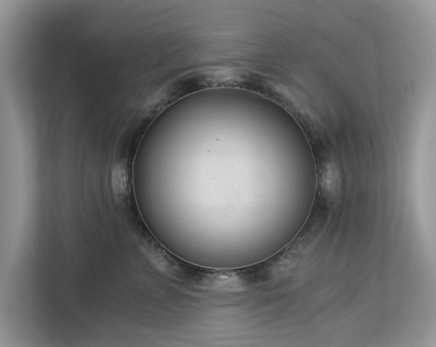 X0000112980715200908271143