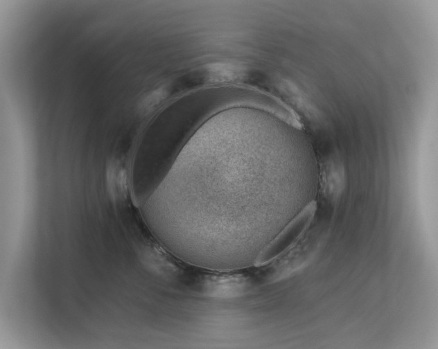 X0000112980716200908271143