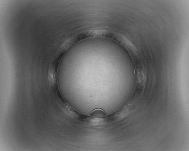 X0000112980718200908271143