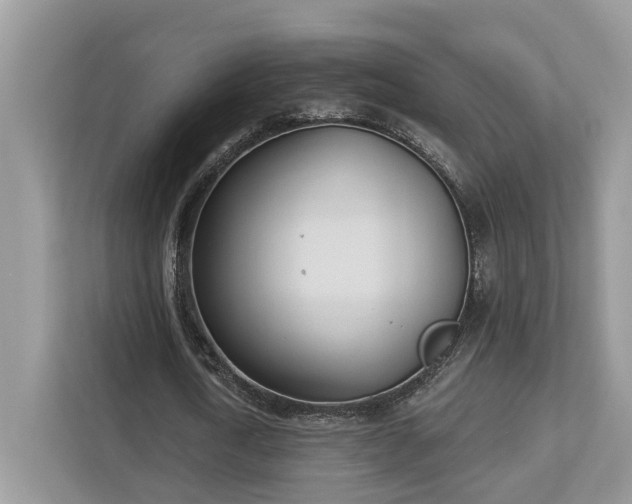 X0000112980722200908271142