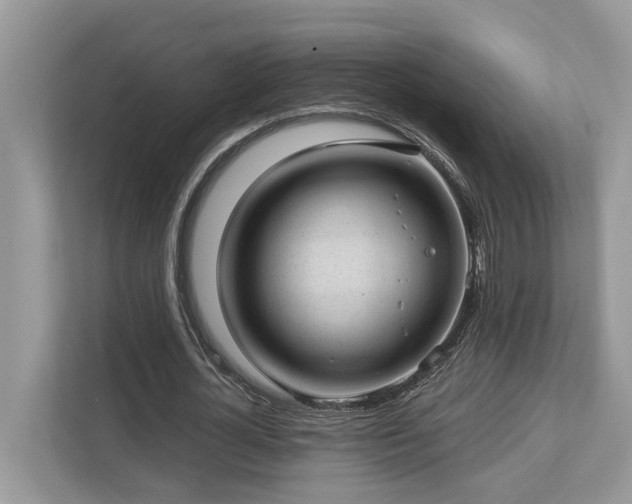 X0000112980724200908271142