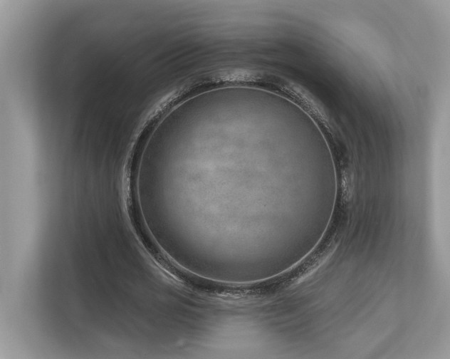 X0000112980725200908271142
