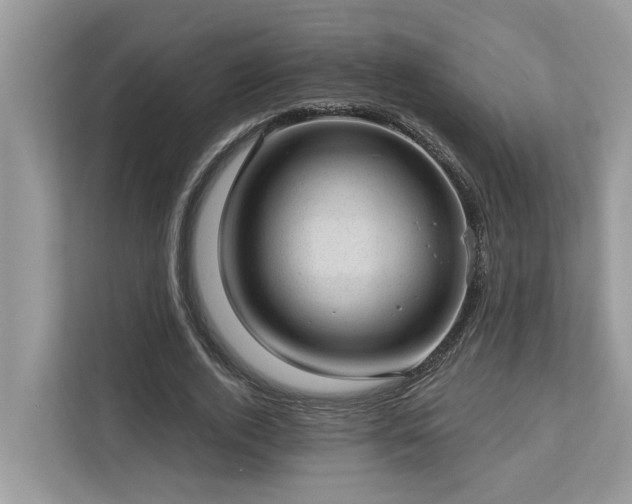 X0000112980728200908271142
